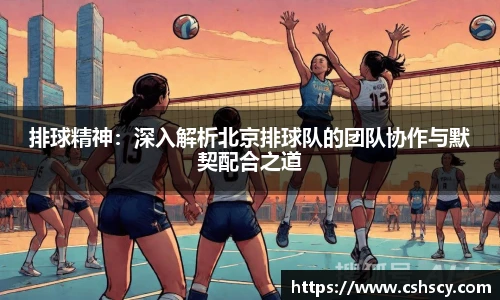 排球精神：深入解析北京排球队的团队协作与默契配合之道